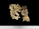 parchemin, image 5/6