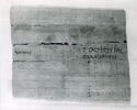 papyrus documentaire, image 2/2