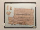 papyrus documentaire, image 1/2