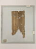 papyrus, image 2/2
