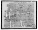 papyrus, image 3/3