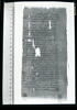papyrus, image 1/2