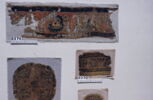 clavus ; fragment, image 3/3