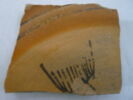 plat, image 2/2