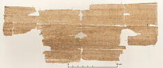 papyrus documentaire, image 2/2