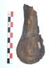 mule ; fragment, image 3/3