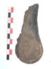 mule ; fragment, image 1/3