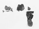 mule ; fragments, image 2/2
