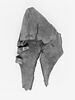 chaussure ; fragment, image 3/5