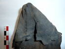 chaussure ; fragment, image 4/5