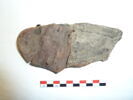 mule ; fragment, image 1/2