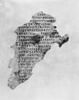 Codex AS, image 3/5