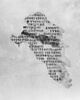 Codex AS, image 4/5