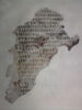 Codex AS, image 2/5