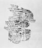 feuillet de codex ; fragment, image 5/5