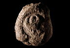 bouchon d'amphore, image 1/3