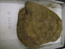 bouchon d'amphore, image 2/3