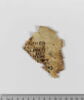 feuillet de codex ; fragment, image 2/5