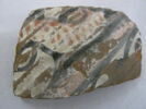 vase, image 2/2