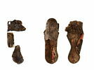 mule ; fragments, image 1/2