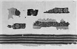 orbiculus, image 2/2