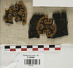 orbiculus, image 1/2