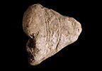 bouchon d'amphore, image 1/3