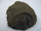 bouchon d'amphore, image 2/3