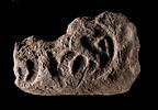 bouchon d'amphore, image 1/3