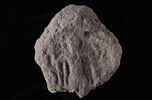 bouchon d'amphore, image 3/3