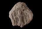 bouchon d'amphore, image 1/3