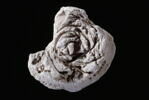 bouchon d'amphore, image 3/4