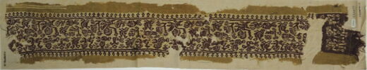 clavus ; fragment, image 2/3