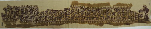 clavus ; fragment, image 2/3