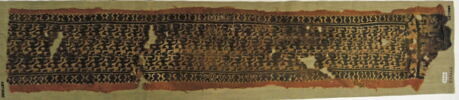 clavus ; fragment, image 2/3