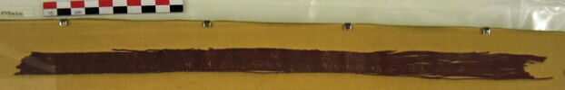 bande décorative d'habillement ; fragment, image 3/3