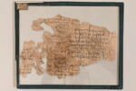 papyrus, image 1/2