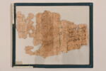 papyrus, image 2/2