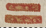 clavus  ; fragments, image 1/2