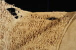 tunique ; fragment, image 3/3