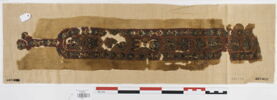 clavus ; fragments, image 1/3