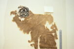 orbiculus ; fragment, image 3/3