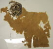 orbiculus ; fragment, image 2/3