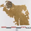 orbiculus ; fragment, image 1/3