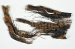 tenture ; fragment, image 1/2