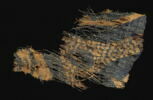 tenture ; fragment, image 2/2