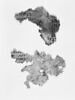 feuillet de codex ; fragments, image 3/4