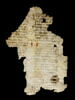 feuillet de codex ; fragment, image 2/4