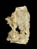 Codex YE, image 2/2
