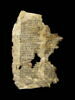 Codex YE, image 1/2